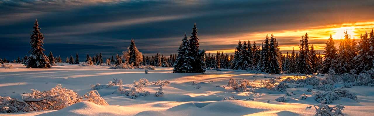Обработка фото для сайта – удаление фона