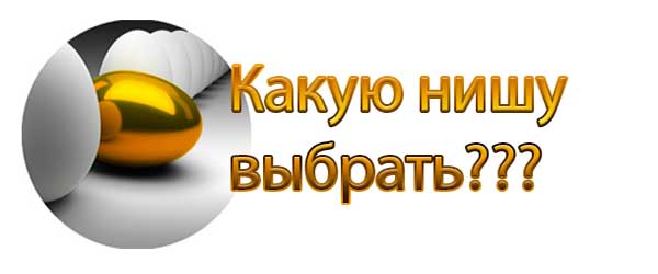 ниша интернет-магазина
